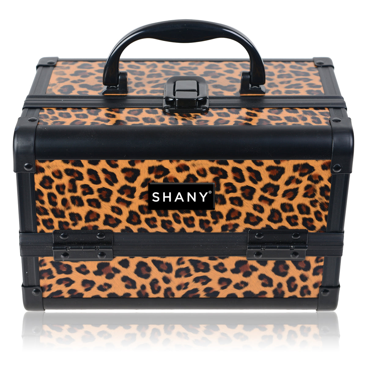 MAKEUP TRAIN CASES