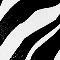 ZEBRA TEXTURE